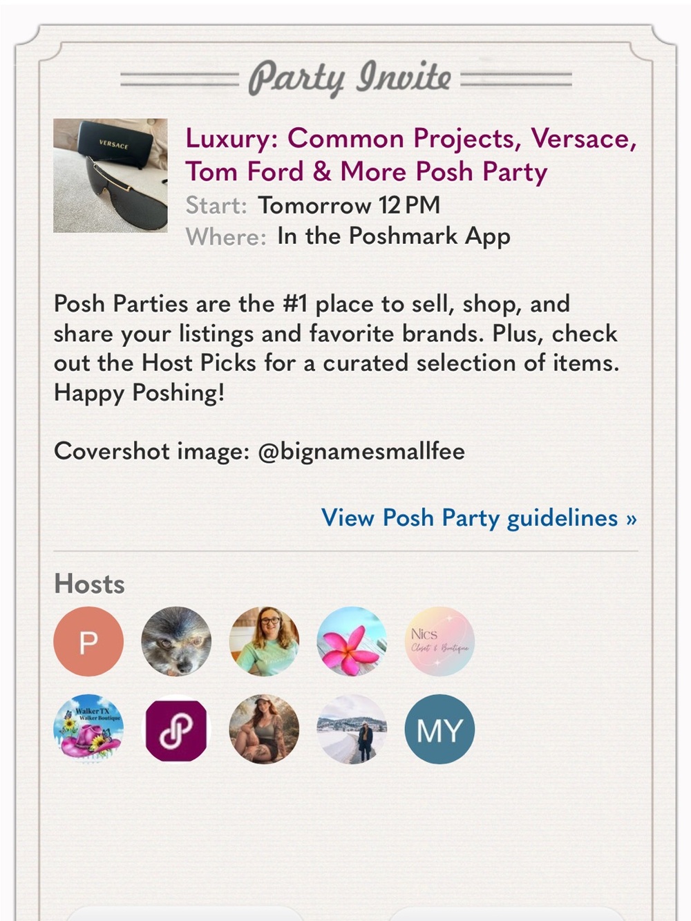 Best in Shoes Posh Party Host - Picture 1 of 1
